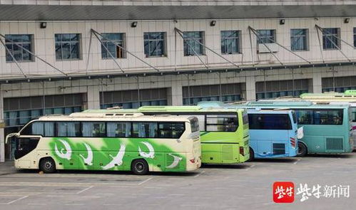 端午出游的注意啦 6月1日起可購(gòu)小長(zhǎng)假汽車票