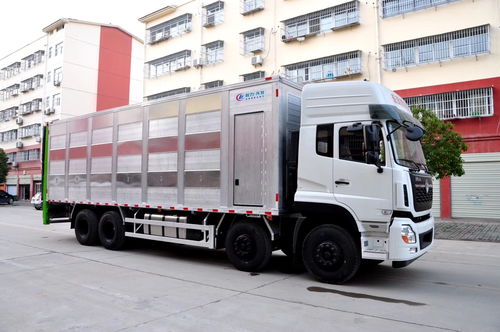 滁州運(yùn)輸 秦皇島生豬運(yùn)輸車專業(yè)廠家選擇指南